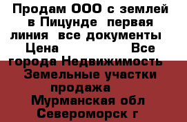 Продам ООО с землей в Пицунде, первая линия, все документы › Цена ­ 9 000 000 - Все города Недвижимость » Земельные участки продажа   . Мурманская обл.,Североморск г.